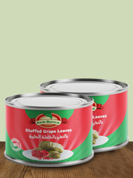 Stuffed Grape Leaves